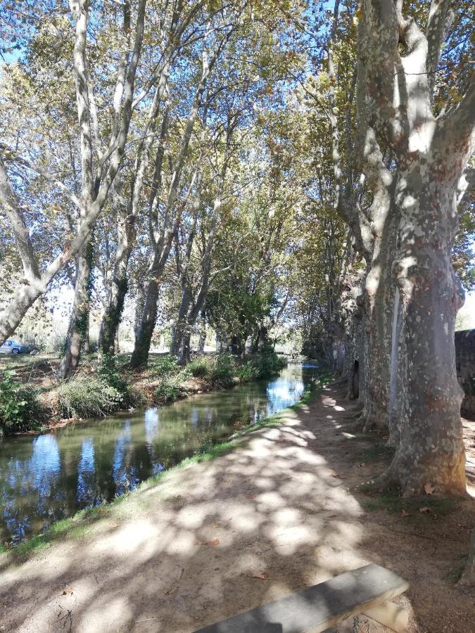 Appartement Sous Les Remparts Καρκασόν Εξωτερικό φωτογραφία