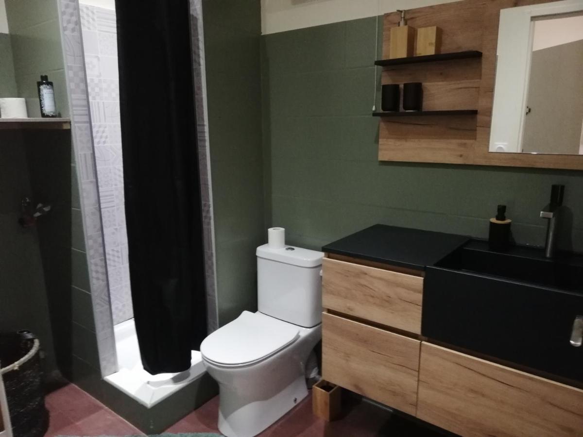 Appartement Sous Les Remparts Καρκασόν Εξωτερικό φωτογραφία